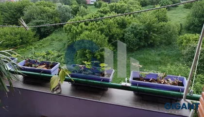 Dušana Vukasovića-Novi Beograd | 4zida.rs