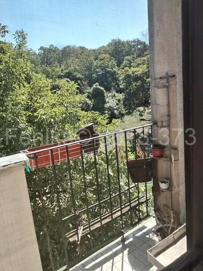 Kneza Višeslava | 4zida.rs