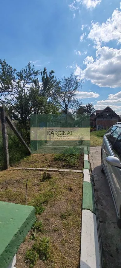 Dragocvet | 4zida.rs