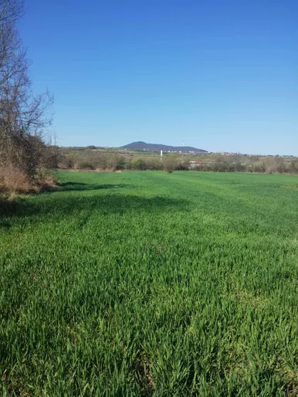 Tranšpedova | 4zida.rs