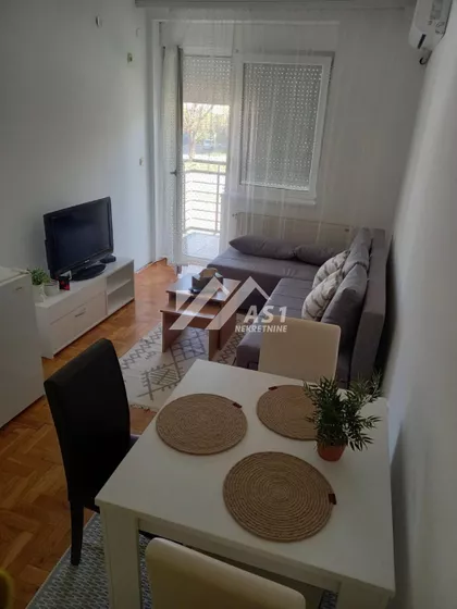 Dalmatinska | 4zida.rs