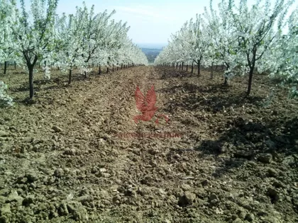 Koraćica | 4zida.rs