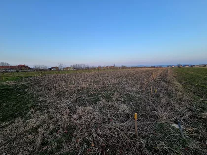 Loznica - Centar | 4zida.rs