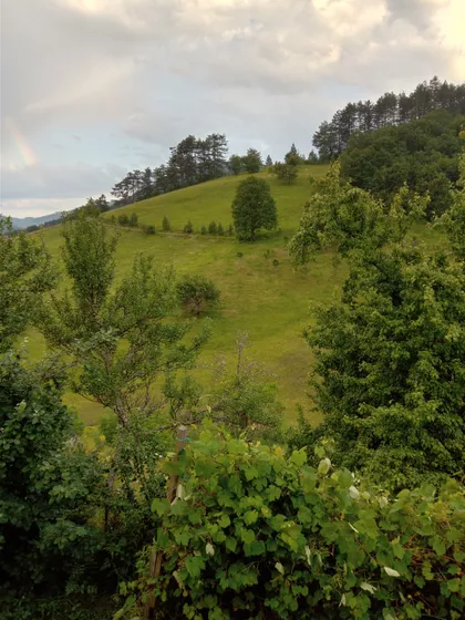 Kraljeva Kosa 6 | 4zida.rs