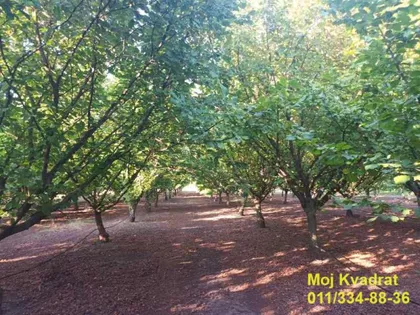 Nova Pazova | 4zida.rs