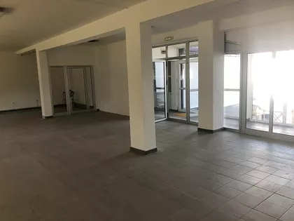 PUT ZA NOVI SAD | 4zida.rs