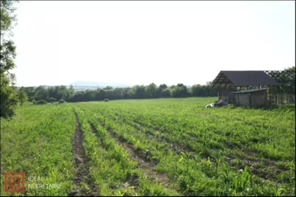 Kolonija | 4zida.rs