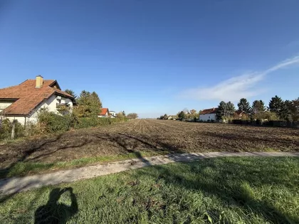 Bavaništanski Put | 4zida.rs