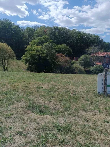 Dubrava