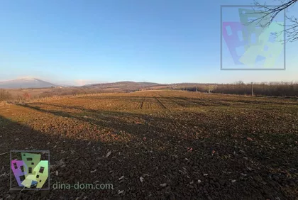 Save Kovačevića | 4zida.rs