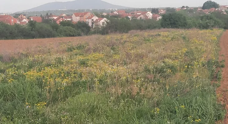 Poljoprivredno zemljište | 4zida