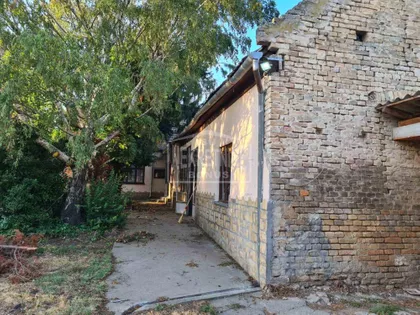 Bajmok | 4zida.rs