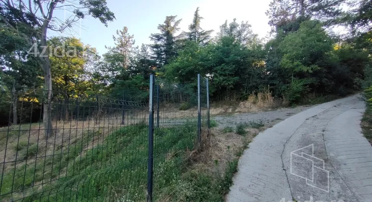 Plac | 4zida