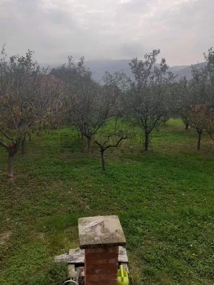 Donji Barbeš | 4zida.rs