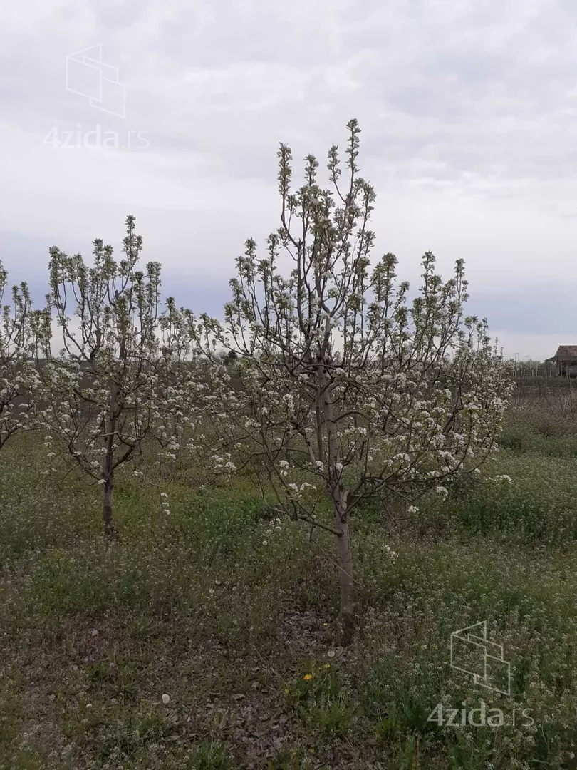 Poljoprivredno zemljište | 4zida