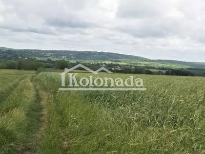 Dučina | 4zida.rs