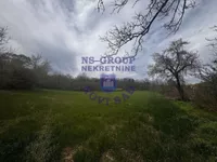 Krušedol Prnjavor, Okolne lokacije, Irig | 4zida.rs