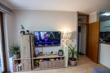 Dragiše Cvetkovića | 4zida.rs