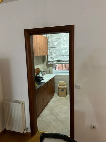 Janka Veselinovića | 4zida.rs