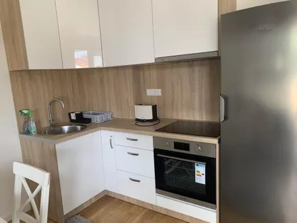 Gospodara Vučića | 4zida.rs