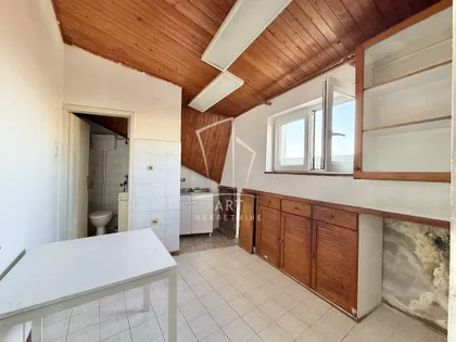 Vase Pelagića | 4zida.rs