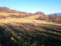 Vrmdža, Okolne lokacije, Sokobanja | 4zida.rs