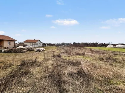 Misa Vinogradi | 4zida.rs