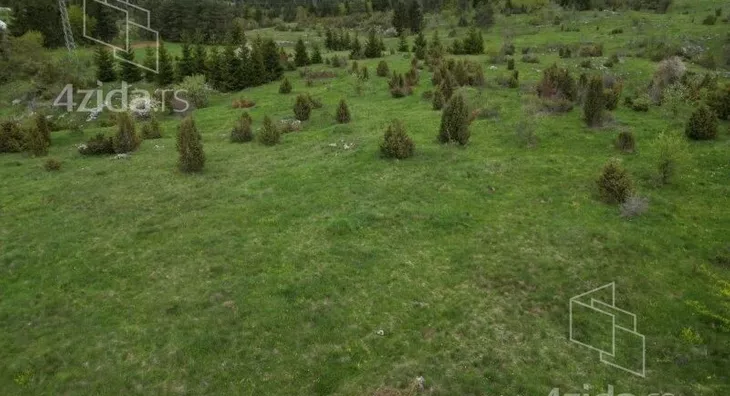 Plac | 4zida
