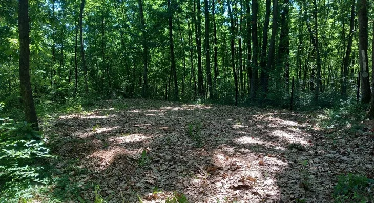 Poljoprivredno zemljište | 4zida