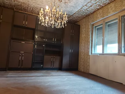 Šandora Olaha | 4zida.rs