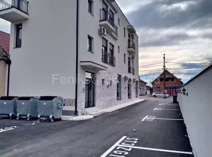 Žarka Samardžića | 4zida.rs