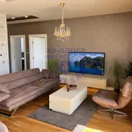 Novi Sad, Gradske lokacije, Detelinara, Nova Detelinara | 4zida.rs | 4zida.rs