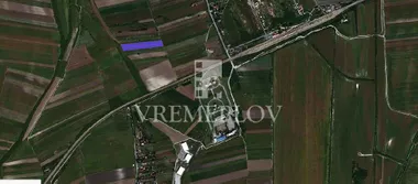 Ovča