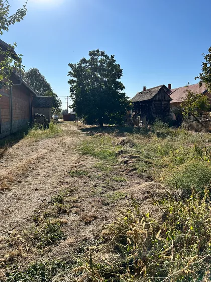 Novi Slankamen | 4zida.rs