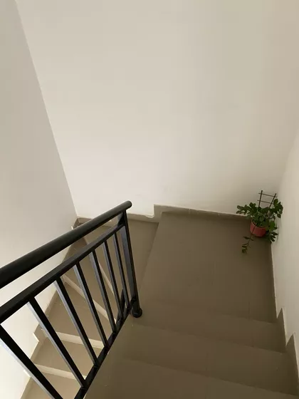 Čerevička Ada | 4zida.rs