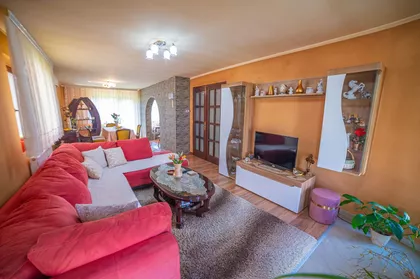 Mande Sudarević | 4zida.rs