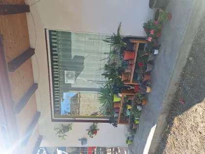 Zmajevačka 16 | 4zida.rs