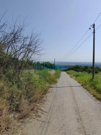 Ritopečka | 4zida.rs