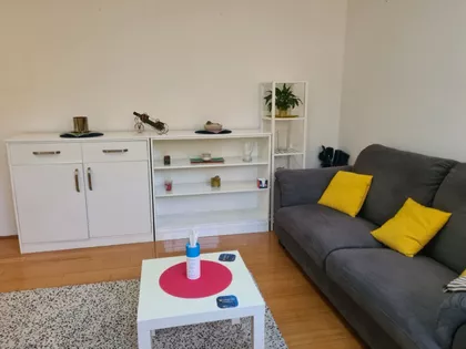 Vitezova Karađorđeve Zvezde | 4zida.rs