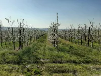 Gradske lokacije, Kruševac | 4zida.rs | 4zida.rs