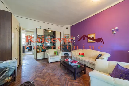 dr Petra Markovica | 4zida.rs