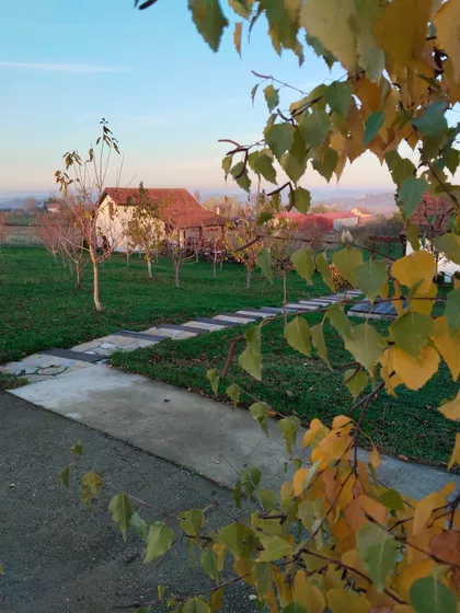 Dubočka 20 | 4zida.rs