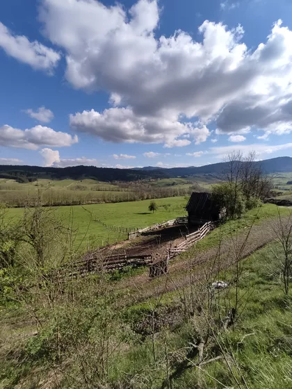 Despota Selakovića | 4zida.rs