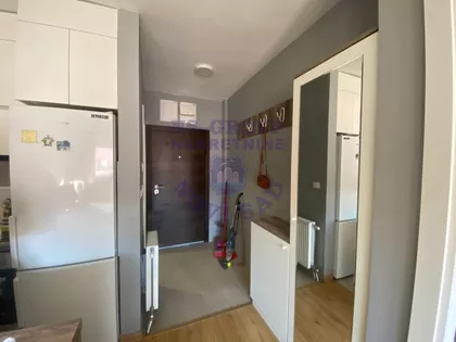 Dr Svetislava Kasapinovića | 4zida.rs