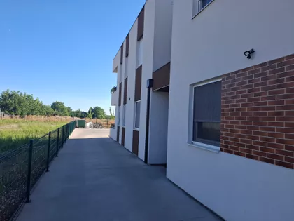 Miše Uboje 11 | 4zida.rs