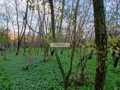 Đurđevo Brdo | 4zida.rs