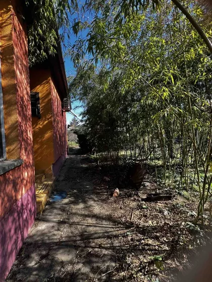 Srpski Šor | 4zida.rs