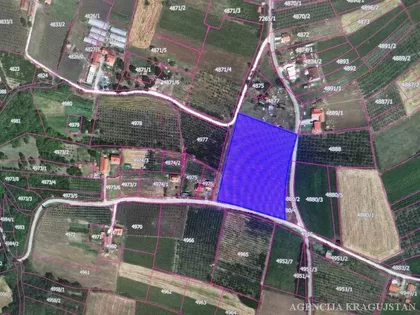 Donja Trnava | 4zida.rs