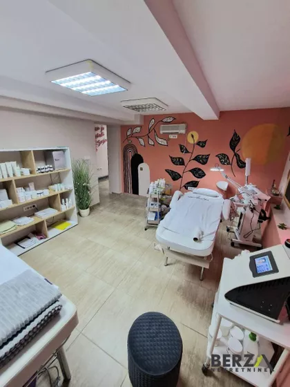 Novi Sad - Centar | 4zida.rs