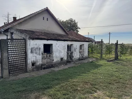 Čonoplja | 4zida.rs
